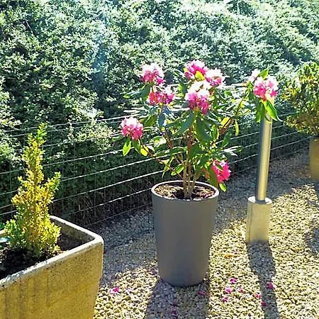 Premium Forbach
