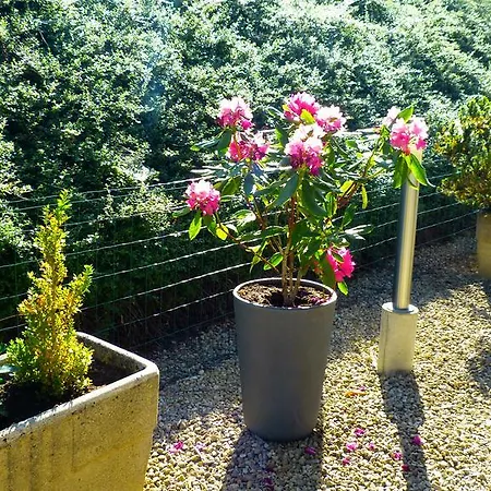 Hotel Premium Forbach