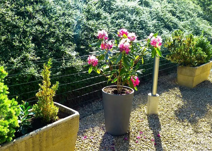 Hotel Premium Forbach